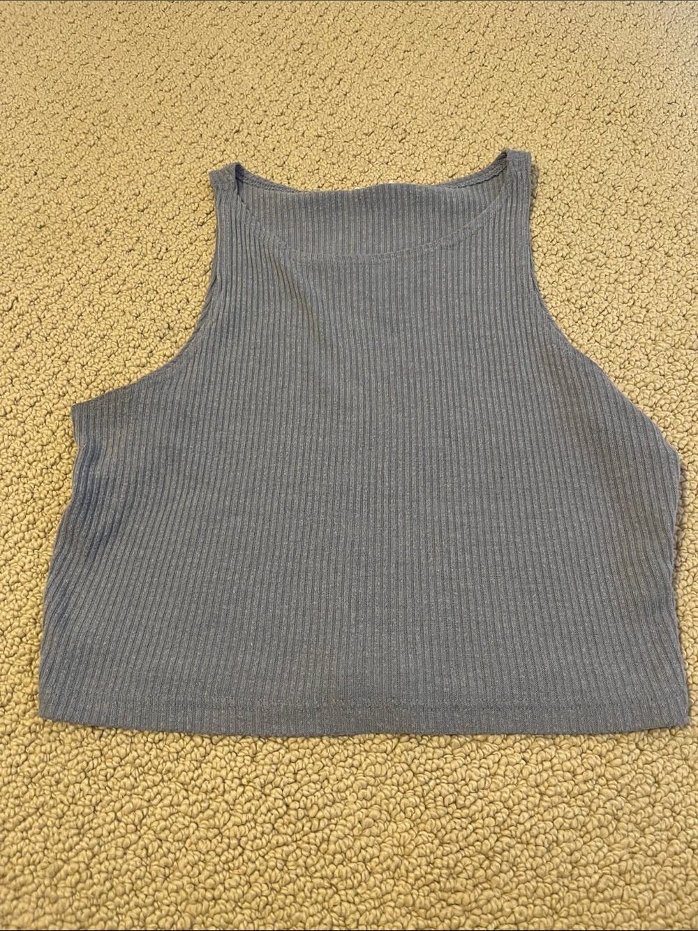 Brandy Melville John Galt Ribbed High-Neck Cropped Tank Top Purple